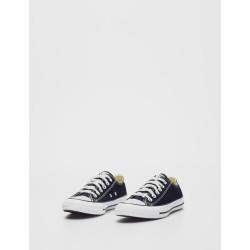 ALL STAR OX