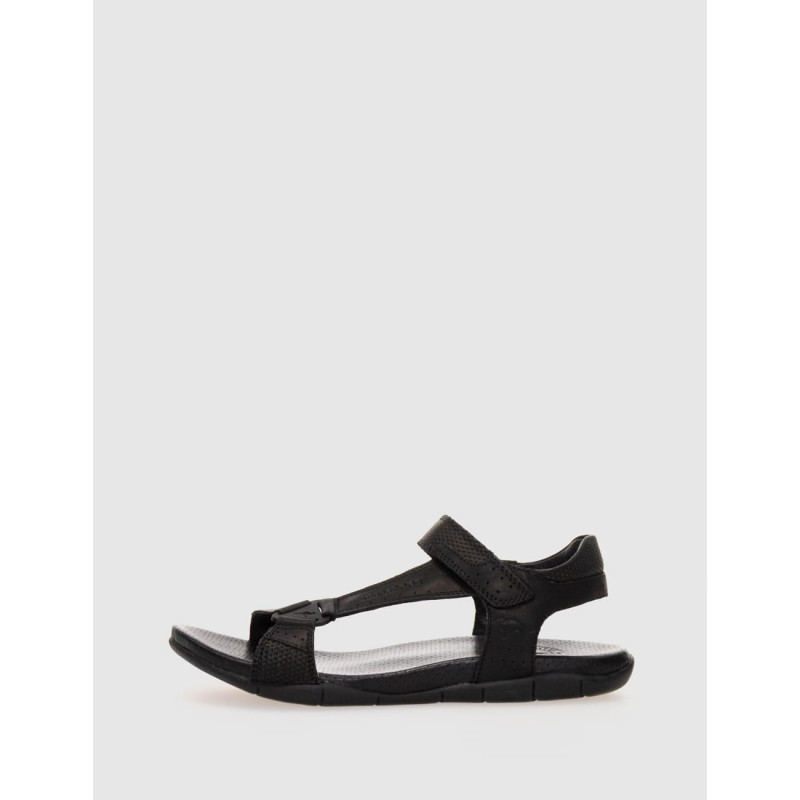 CALIFORNIANA KANGAROOS 329 NEGRO