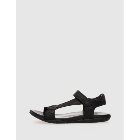 CALIFORNIANA KANGAROOS 329 NEGRO