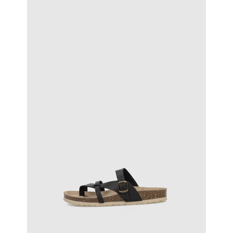 BIO KAMOME ALBA NEGRO